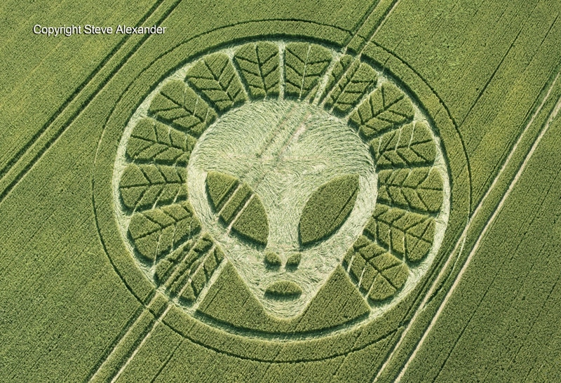Top 5 Most Amazing Crop Circles of 2016 - Texas UFO Sightings Famous Crop Circle
